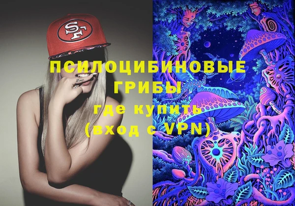 альфа пвп Алексеевка